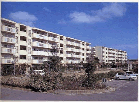 八重瀬町行政区ごとの紹介 | 八重瀬町