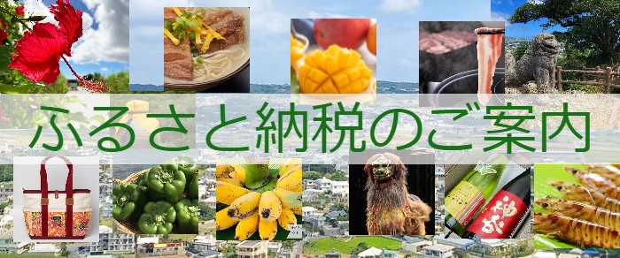 八重瀬町ふるさと納税のご案内