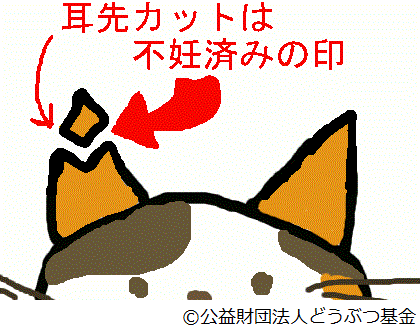 耳先カットイラスト.gif