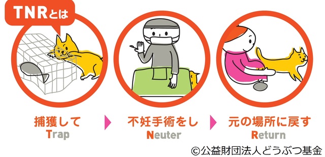 TNRイラスト.jpg